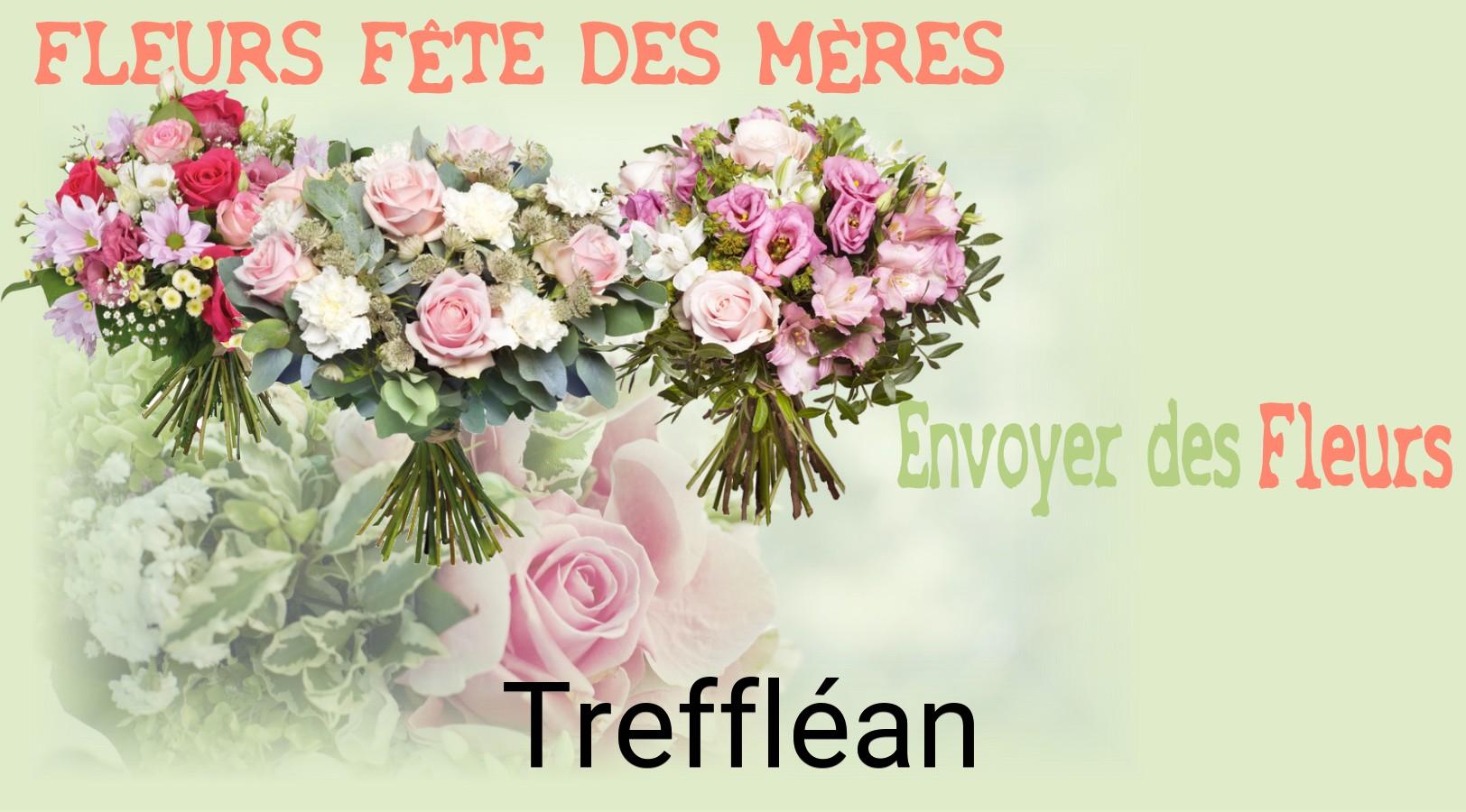 Bouquet de Fête des Mères livré à Treffléan